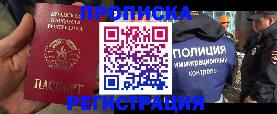 прописка поиск в Невеле